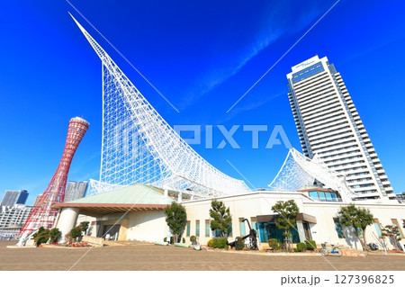 【兵庫県】改装後のポートタワーと神戸メリケンパーク 127396825