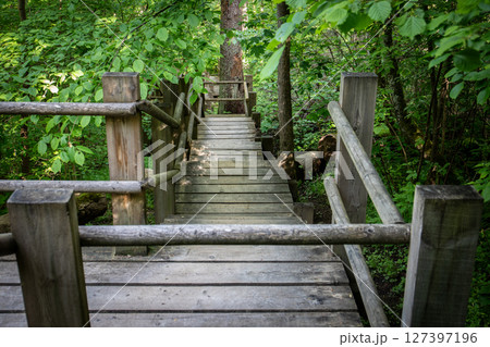 Wooden Forest Pathway with Handrails Surrounded by Green Trees in Natural Park 127397196