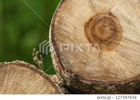 A log of wood cut with a chainsaw 127397638