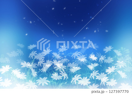 マーガレットが咲く風景の青いテクスチャ 127397770