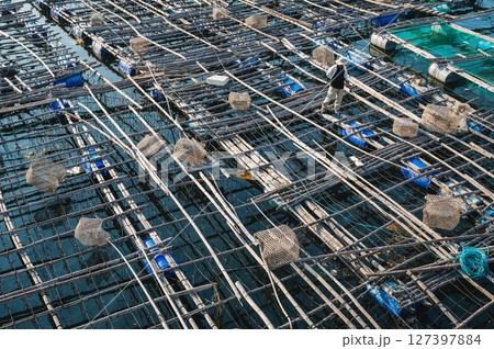 Shrimp and fish farming farm with fishing cages and nets on the water in the sea bay in Vietnam in Asia 127397884