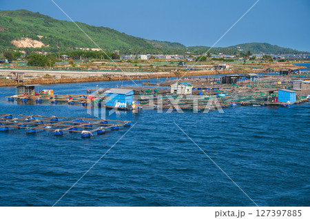 Shrimp and fish farming farm with fishing cages and nets on the water in the sea bay in Vietnam in Asia in summer. Aerial top view from drone 127397885