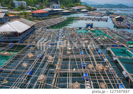 fish farm with fishing cages on the water in sea bay in Vietnam in Asia 127397887