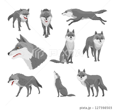 Gray wolf set. A predatory beast. Wild forest animal. Vector hand drawn vintage old sketch for stamp, t-shirt or typography or badge Gray wolf set. A predatory beast. Wild forest animal. Vector hand drawn vintage old sketch for stamp, t-shirt or typography or badge 127398503