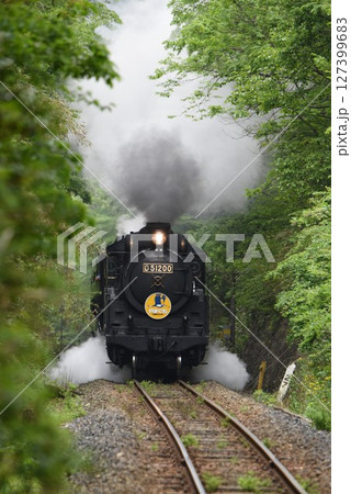 SLやまぐち号　田代トンネルを抜け　篠目へ下る　　 127399683