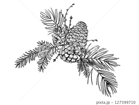 Pine forest bouquet composition vector Pine forest bouquet composition vector 127399710