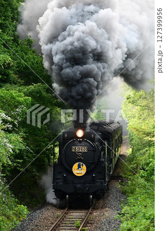 SLやまぐち号 JR山口線 上り「篠直」を爆走 SLやまぐち号 JR山口線 上り「篠直」を爆走 127399956