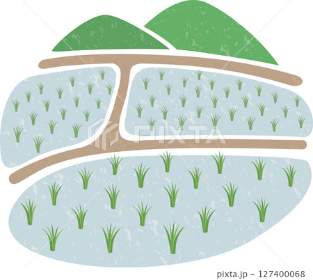 田植えが終わった水田 127400068