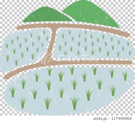 田植えが終わった水田 127400068