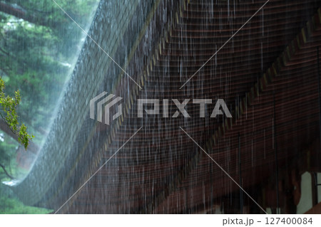 どしゃぶりの雨 どしゃぶりの雨 127400084