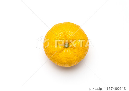 柚子 127400448