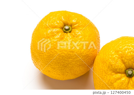 柚子 127400450