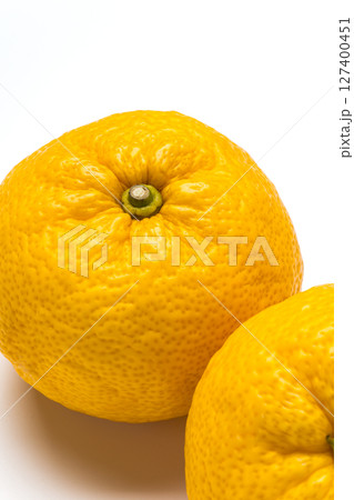 柚子 127400451