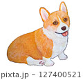 お座りをするコーギーの子犬 127400521