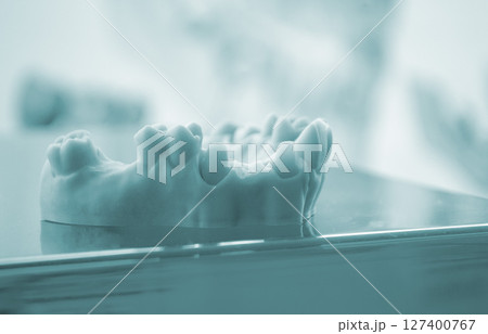 Prototype of human jaw gums and teeth printed on 3D printer from hardened rubber. Model of human lower gum with teeth created on 3D printer from hardened rubber under influence of ultraviolet light. 127400767