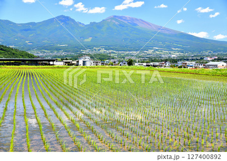 五郎兵衛新田より浅間山方面を望む(長野県佐久市)【2025.6】 127400892