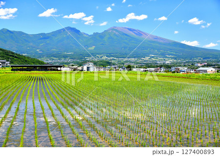 五郎兵衛新田より浅間山方面を望む(長野県佐久市)【2025.6】 127400893
