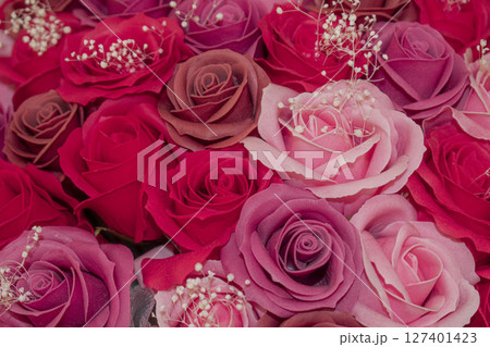 画面いっぱいの赤いバラ 画面いっぱいの赤いバラ 127401423