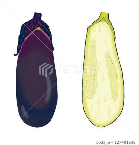一本のナスと半分に切ったナスのイラスト　夏野菜　クリップアート　挿絵　png　背景透過 127401639