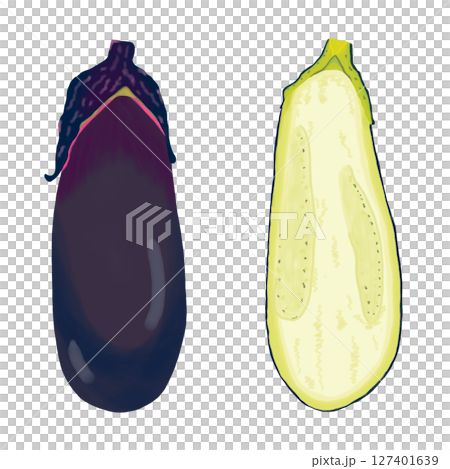 一本のナスと半分に切ったナスのイラスト　夏野菜　クリップアート　挿絵　png　背景透過 127401639