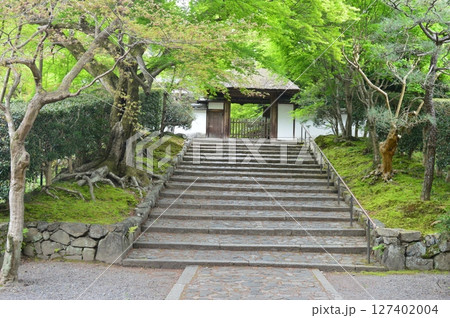 安楽寺の山門(京都市左京区鹿ケ谷御所ノ段町21) 安楽寺の山門(京都市左京区鹿ケ谷御所ノ段町21) 127402004