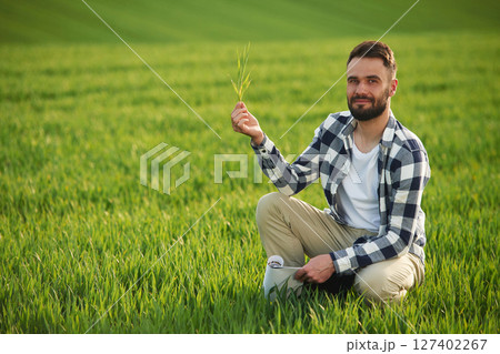 Portrait, looking at camera, holding wheat. Handsome young man is on agricultural field 127402267