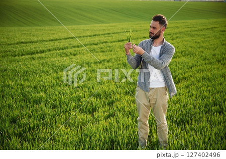 On agricultural field. Handsome young man 127402496