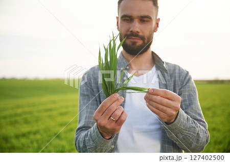 Holding wheat. Handsome young man is on agricultural field 127402500