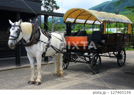 辻馬車（由布院駅） 127403139
