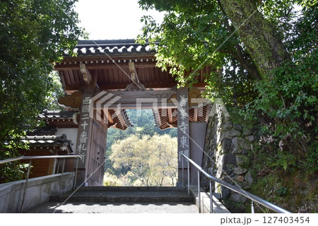 京都市 善峯寺の東門と深緑 京都市 善峯寺の東門と深緑 127403454