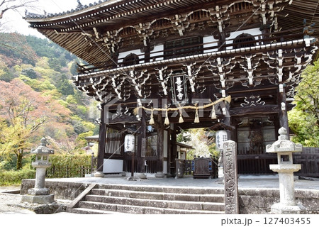 京都市　善峯寺の山門（楼門）と新緑 127403455