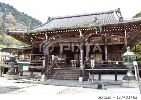 京都市　善峯寺の観音堂（本堂）と新緑の山並み 127403462
