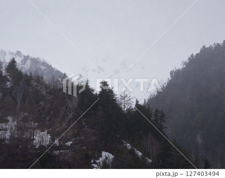 春の朝の観光名所立山黒部アルペンルートの立山連峰の雪景色と森の霧の様子 春の朝の観光名所立山黒部アルペンルートの立山連峰の雪景色と森の霧の様子 127403494