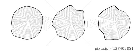 Collection of outlined wooden cuts on white with wavy, concentric tree rings 127403851