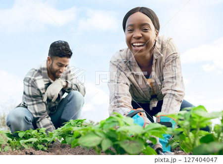 Farmer, gardening and agriculture portrait in field with happy black woman and indian man working. Nature, soil and interracial farming people on vegetable produce farm together with low angle. Farmer, gardening and agriculture portrait in field with happy black woman and indian man working. Nature, soil and interracial farming people on vegetable produce farm together with low angle. 127404047