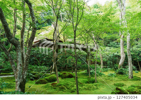 京都嵯峨野 祇王寺の苔のある庭 京都嵯峨野 祇王寺の苔のある庭 127405034