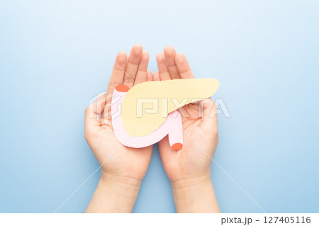 Hands holding pancreas organ shape made from paper on light blue background. Awareness of pancreatitis, pancreatic cancer and diabetes mellitus. Hands holding pancreas organ shape made from paper on light blue background. Awareness of pancreatitis, pancreatic cancer and diabetes mellitus. 127405116