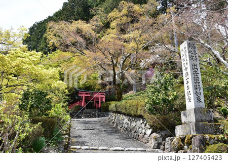 京都市　善峯寺の参道と新緑と稲荷社 127405423