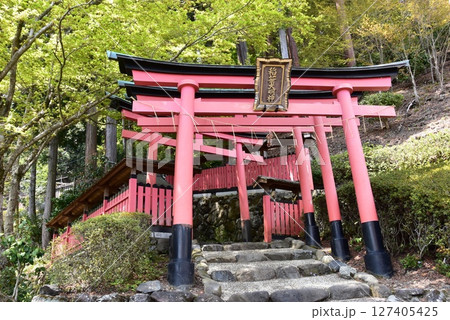 京都市 善峯寺の稲荷社と新緑 京都市 善峯寺の稲荷社と新緑 127405425