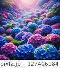 群生する紫陽花2 127406184