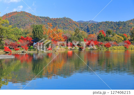 【京都府】シンメトリーな紅葉の大覚寺(大沢池) 【京都府】シンメトリーな紅葉の大覚寺(大沢池) 127406215