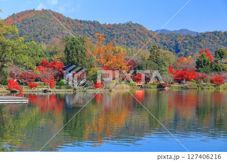 【京都府】シンメトリーな紅葉の大覚寺(大沢池) 【京都府】シンメトリーな紅葉の大覚寺(大沢池) 127406216