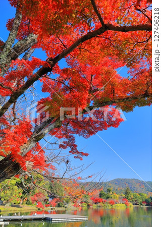 【京都府】シンメトリーな紅葉の大覚寺（大沢池） 127406218