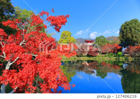 【京都府】シンメトリーな紅葉の大覚寺 心経宝塔(放生池) 【京都府】シンメトリーな紅葉の大覚寺 心経宝塔(放生池) 127406219