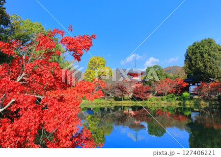 【京都府】シンメトリーな紅葉の大覚寺 心経宝塔(放生池) 【京都府】シンメトリーな紅葉の大覚寺 心経宝塔(放生池) 127406221