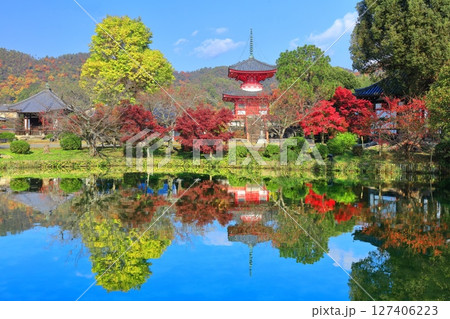【京都府】シンメトリーな紅葉の大覚寺 心経宝塔（放生池） 127406223