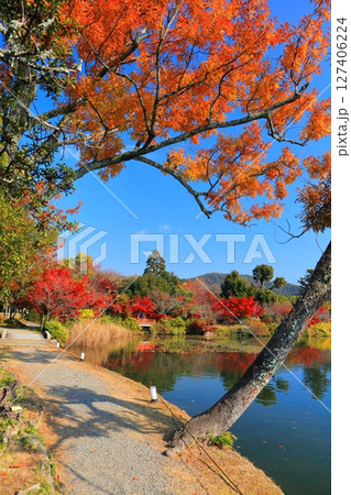 【京都府】シンメトリーな紅葉の大覚寺（大沢池） 127406224