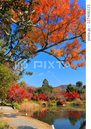 【京都府】シンメトリーな紅葉の大覚寺（大沢池） 127406225