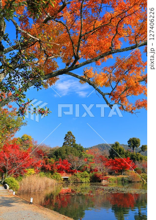 【京都府】シンメトリーな紅葉の大覚寺（大沢池） 127406226