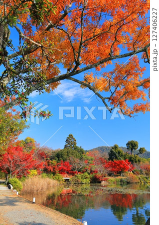 【京都府】シンメトリーな紅葉の大覚寺（大沢池） 127406227